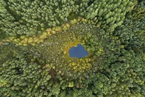 Aerial view of dystrophic forest lake surrounded by peatbog