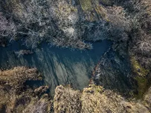 Castoridae Prints: Aerial view of a European beaver (Castor fiber) dam on river