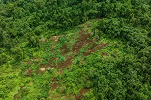 Community Prints: Aerial view of a farm with a small timber processing area near the Koarare Community
