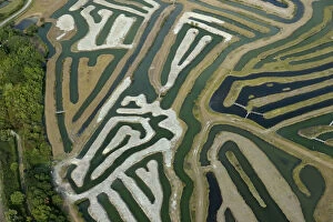 Aerial view of fish farm, La Guittiere Marsh, South Vendee, France, July 2017