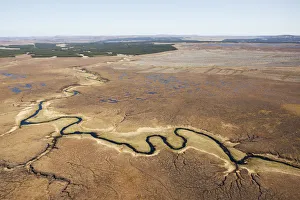 Aerial view across the Flow Country showing peatland pool system with commercial