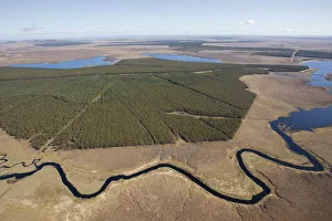 Images Dated 1st May 2012: Aerial view across the Flow Country, with timber plantation, Forsinard, Caithness