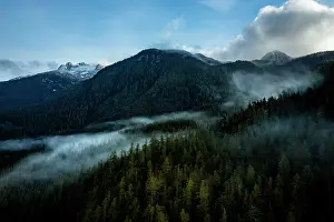Mist Prints: Aerial view of forest and mountains with fog rolling through