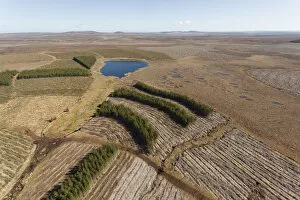 Images Dated 1st May 2012: Aerial view of Forsinard Flows blanket bog, with conifer plantations, Forsinard, Caithness