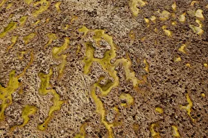 Images Dated 1st May 2012: Aerial view of Forsinard Flows blanket bog, Forsinard, Caithness, Scotland, UK, May 2012