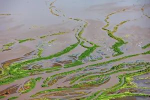 Lake Magadi Prints: Aerial view of freshwater estuary entering the lake after heavy rains