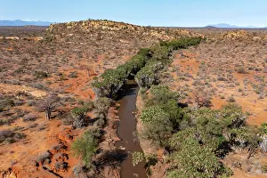 Scrubland Prints: Aerial view of the Galana river flowing through dry scrubland