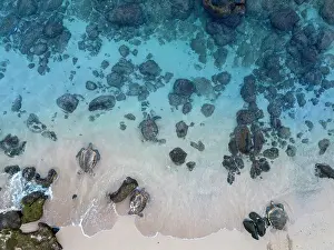Aerial View Prints: Aerial view of group of Green sea turtles (Chelonia mydas) entering the ocean on Hookipa Beach