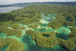 Rainforest Gallery: Aerial view of Hidden Bay in North West peninsula of Gam Island. Raja Ampat Islands