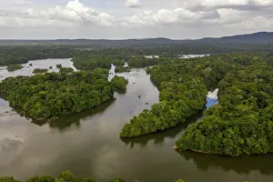 Wilderness Prints: Aerial view of the Iwokrama Rainforest