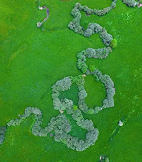 October 2022 Highlights Prints: Aerial view of the Izarilla River meandering across countryside lined with trees