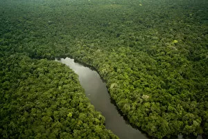 Aerial view of Lago Preto, Amazon Rainforest and lake, Peru