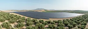 Environmental Issues Prints: Aerial view of large solar power farm among intensive olive groves