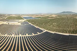 Environmental Issues Prints: Aerial view of large solar power plant among intensive olive groves