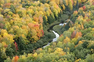 Aerial view of Little Carp River and early autumn woodland, Porcupine Mountains State Park