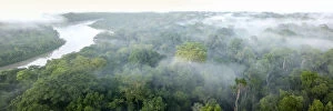 Andes Gallery: Aerial view of lowland Amazonia rainforest in morning mist. Manu Biosphere Reserve, Amazonia, Peru