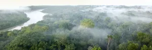 Manu National Park Prints: Aerial view of lowland Amazonia rainforest in morning mist