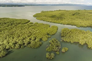Nick Hawkins Gallery: Aerial view of Mangrove forest, Osa Peninsula, Costa Rica, May 2017