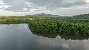 Papua New Guinea Prints: Aerial view of mangroves fringing a saltwater lagoon on Emirau Island