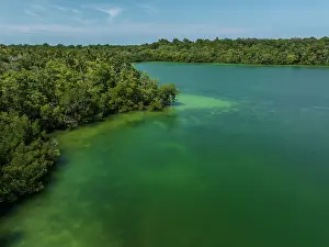 Coastal Wetland Prints: Aerial view of mangroves and lagoon on Emirau Island