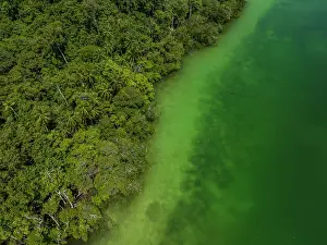 Papua New Guinea Prints: Aerial view of mangroves and lagoon on Emirau Island