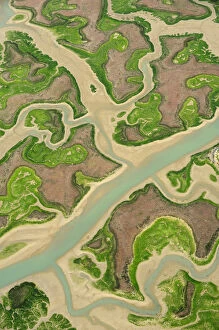 Aerial view of marshes at low tide, Baha de Cdiz Natural Park, Cdiz, Andalusia, Spain
