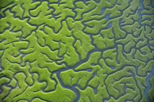 Images Dated 16th March 2008: Aerial view of marshes with Seaweed exposed at low tide, Baha de Cdiz Natural Park