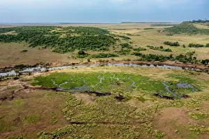 Kenya Prints: Aerial view of marshland and the Mara river around Mara Serena lodge