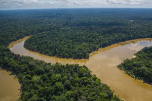 Mark Bowler Prints: Aerial view of Mouth of the Yavari-Mirin River entering Yavari River and Amazon Rainforest
