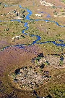 Aerial view of the Okavango Delta with channels, lagoons, swamps and islands, Botswana, Africa
