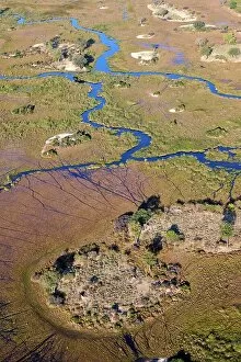 Southern Africa Gallery: Aerial view of the Okavango Delta with channels, lagoons, swamps and islands, Botswana, Africa