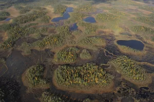 Images Dated 22nd September 2008: Aerial view of Peat bog, Oulanka National Park, Finland, September 2008