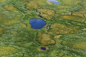 Aerial view of Pechora River Delta, Nenets Autonomous Okrug, Arctic, Russia, July 2017