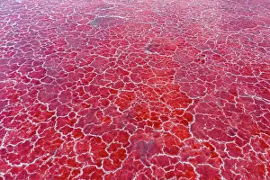 Natural Phenomenon Prints: Aerial view of pink, soda encrusted Lake Magadi, Rift Valley, Kenya. September, 2023