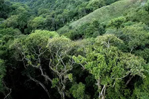 Environmental Issues Prints: Aerial view of rainforest in Mojana district with degraded areas in the background