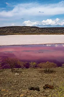 Minerals Prints: Aerial view of red soda on Lake Magadi, Rift Valley, Kenya. March, 2023