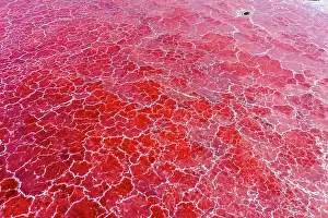 Minerals Prints: Aerial view of red soda on surface of Lake Magadi, Rift Valley, Kenya. September, 2023