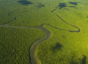 Aerial View Gallery: Aerial view of the River Kinabatangan and riverine tropical rainforest, Sabah, Malaysia