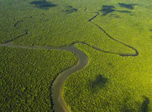 Malaysia Prints: Aerial view of the River Kinabatangan and riverine tropical rainforest, Sabah, Malaysia