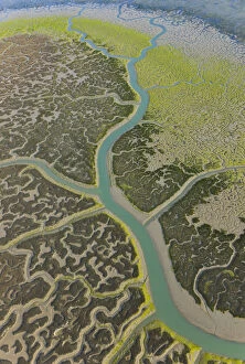 Spain Collection: Aerial view river tributaries and saltmarshes of Bahia de Cadiz Natural Park, Huelva