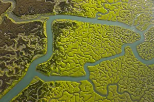 Aerial view of the rivers and saltmarshes of the Bahia / Bay de Cadiz Natural Park