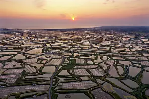 Natural Pattern Prints: Aerial view of salt marshes at sunset, Guerande, Loire-Atlantique, France. June, 2023