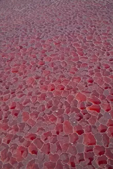 Aerial view of salt pans coloured red by cyanobacteria, Lake Natron, Rift Valley