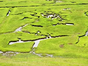Aerial view of saltmarsh, Garderhouse, Shetland, Scotland, UK. June, 2022