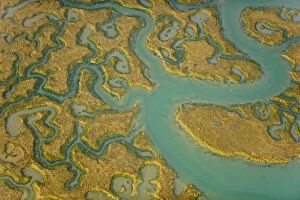 Images Dated 15th March 2012: Aerial view of saltmarsh landscape, Abbotts Hall Farm Nature Reserve, Essex, England