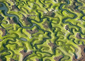 Aerial view of saltmarsh at low tide near Cadiz, Spain, February 2008