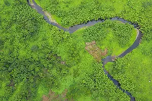 Fiji Prints: Aerial view of a small farm plot ready for planting near a small stream in the interior of Ovalau Island