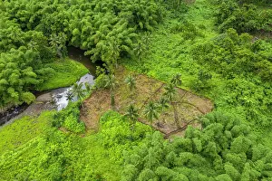 Fiji Prints: Aerial view of a small farm plot ready for planting near a small stream in the interior of Ovalau Island