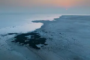 Middle East Prints: Aerial view of Socotra cormorants (Phalacrocorax nigrogularis) colony at sunrise