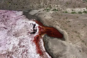 Minerals Prints: Aerial view of soda on surface of Lake Magadi, Rift Valley, Kenya. September, 2023